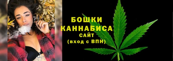амф Переславль-Залесский