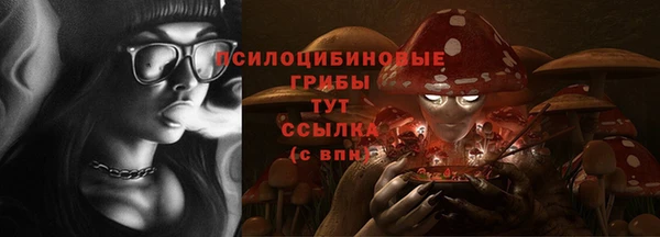 твердый Аркадак